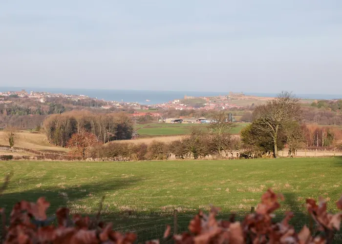 Sneaton Hall 4 * ويتبي