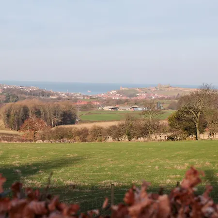 Sneaton Hall 4 * וויטבי